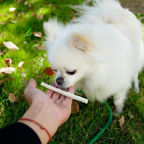 MON2SUN Dog Rawhide Twist Sticks Natural 5 Inch Thin Sticks Rawhide Chews Treats for Puppy and Small Dogs 60 Count, 12.7oz in Saudi Arabia