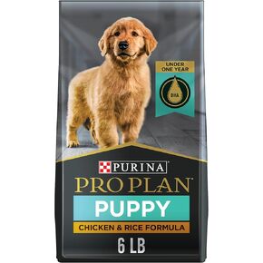 Purina Pro Plan High Protein Dry Puppy Food, Chicken and Rice Formula - 6 lb. Bag