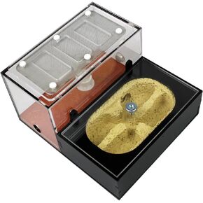 Ant Farm Nest for Kids and Adult, Ant House with Nesting Room, Feed Room and Water Feeding Accessory (Red)