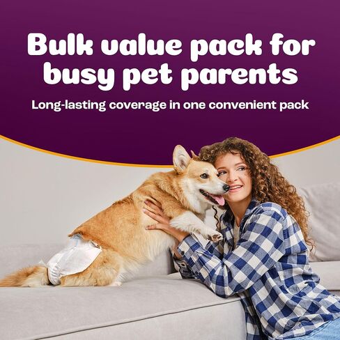 Inspire Pet Care Dog Diapers Female Dogs | Bulk Value Doggie Incontinence, Accidents, for Heat, Pee or Period and Housebreaking (X-Small (50 Count)) in Saudi Arabia