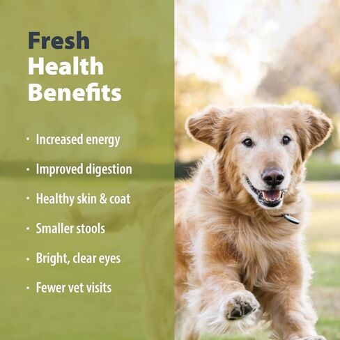JustFoodForDogs Pantry Fresh Wet Dog Food, Complete Meal or Dog Food Topper, Beef & Russet Potato Human Grade Dog Food Recipe - 12.5 oz (Pack of 6) in Saudi Arabia