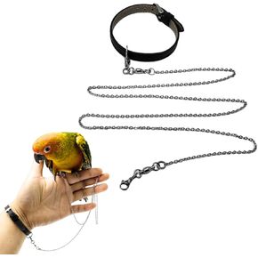 سلسلة قدم الطيور، حبل تدريب من الفولاذ المقاوم للصدأ مع حزام معصم جلدي للببغاء في الهواء الطلق، ملحقات حلقة كاحل القدم للطيور، مقود يمنع الهروب (موديل 4 مجموعة) in Kuwait