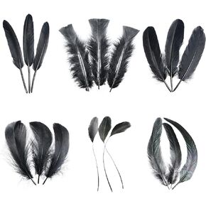Black Craft Feathers Bulk - 240pcs 6 Style Mixed Natural Feathers for Wedding Home Party, Dream Catcher Supplies and DIY Crafts (Black)