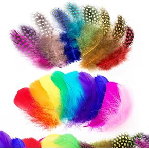 Craft Feathers 300pcs Colorful Feathers for Craft DIY Wedding Home Party Decorations