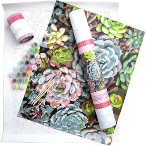 Pink Picasso Kits Botanical Floral Paint by Number for Adults | DIY Canvas Painting Kits Color by Numbers Drawing Arts and Crafts As Seen On Shark Tank | (Sensitive Succulents) 16x20 - Paint Kit Set