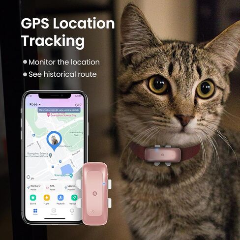 P1 GPS Dog Cat (6.5 lbs+) Tracker - GPS Location Tracker for Pet Anti Lost No Distance Limited, Waterproof, Real Time Tracking & Geo-Fence, Fit All Pet Collars, Pink in Saudi Arabia