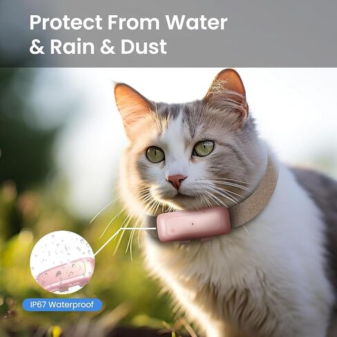 P1 GPS Dog Cat (6.5 lbs+) Tracker - GPS Location Tracker for Pet Anti Lost No Distance Limited, Waterproof, Real Time Tracking & Geo-Fence, Fit All Pet Collars, Pink in Saudi Arabia
