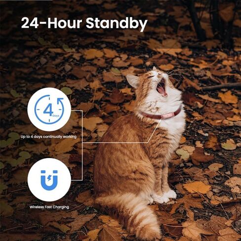جهاز تعقب P1 GPS Dog Cat (6.5 رطل+) - جهاز تعقب موقع GPS للحيوانات الأليفة لمنع فقدان أي مسافة محدودة، مقاوم للماء، تتبع في الوقت الحقيقي وسياج جغرافي، يناسب جميع أطواق الحيوانات الأليفة، وردي in Kuwait