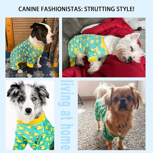Paiaite Dog Pajamas Onesie: Comfortable Four-Legged Apparel for Small, Medium, & Large Dogs, Polyester Material for Comfort, Wrinkle Resistance, Moisture Wicking, and Stretchiness Yellow Duck S in Saudi Arabia