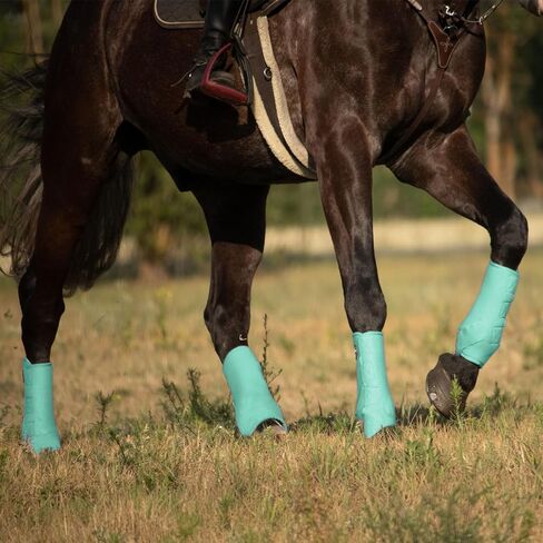 Harrison Howard 4-Pack Horse Sport Boots, Protective Horse Boots in Kuwait