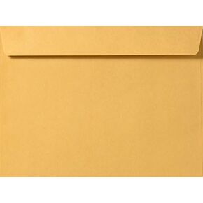 Brown Kraft Booklet Envelopes on 28lb. Pack of 50 (9 x 12)