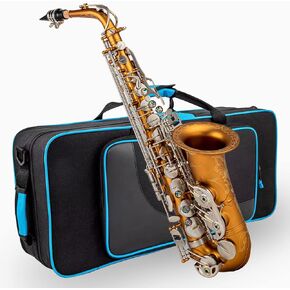 ساكسفونات Aisiweier Alto Saxophone E-Flat 10 قصب ألتو ساكسفون، قفاز، حزام، صندوق، فرشاة، قطعة قماش للتنظيف، 8 وسادات وسادة لقطعة الفم in Kuwait