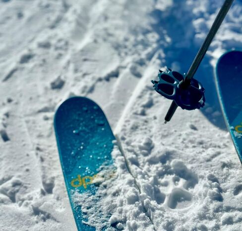 Wolf | Mountain Lion Ski Pole Baskets in Saudi Arabia