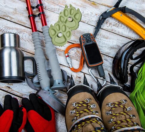 Wolf | Mountain Lion Ski Pole Baskets in Saudi Arabia