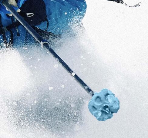 Wolf | Mountain Lion Ski Pole Baskets in Saudi Arabia