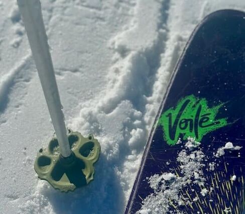 Wolf | Mountain Lion Ski Pole Baskets in Saudi Arabia