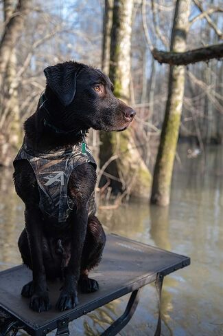 ALPS OutdoorZ Topflight Dog Vest، Realtree MAX-5 - XX-Large in Saudi Arabia