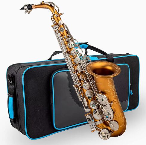 ساكسفونات Aisiweier Alto Saxophone E-Flat 10 قصب ألتو ساكسفون، قفاز، حزام، صندوق، فرشاة، قطعة قماش للتنظيف، 8 وسادات وسادة لقطعة الفم in Kuwait