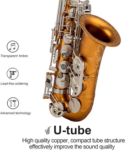 ساكسفونات Aisiweier Alto Saxophone E-Flat 10 قصب ألتو ساكسفون، قفاز، حزام، صندوق، فرشاة، قطعة قماش للتنظيف، 8 وسادات وسادة لقطعة الفم in Kuwait