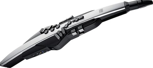 آلة النفخ الرقمية Roland Aerophone Pro، درجة احترافية مع تصميم مصقول، ومكونات متميزة، ومحركات صوتية متقدمة (AE-30)، رمادي، أسود in Saudi Arabia