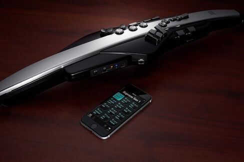 آلة النفخ الرقمية Roland Aerophone Pro، درجة احترافية مع تصميم مصقول، ومكونات متميزة، ومحركات صوتية متقدمة (AE-30)، رمادي، أسود in Saudi Arabia