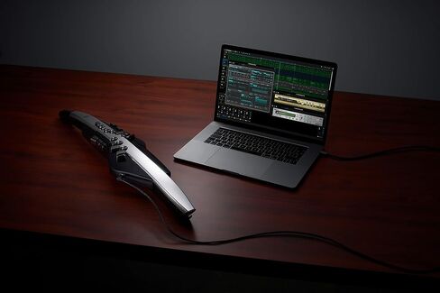 آلة النفخ الرقمية Roland Aerophone Pro، درجة احترافية مع تصميم مصقول، ومكونات متميزة، ومحركات صوتية متقدمة (AE-30)، رمادي، أسود in Saudi Arabia