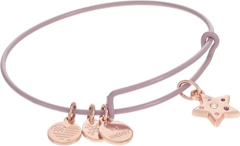 Alex and Ani Symbols And Tokens Expandable Bangle For Women, Mini Brights, Charms, Shiny Finishes, 2 To 3.5 In in Kuwait
