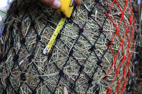 T TEKE Deluxe Slow hay Feeder hay nets, 1-3/4" Feeding Holes, Horse Supplies hay Bags for Horses, Goats in Kuwait