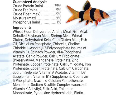 Aqueon Bottom Feeder Tablets 3 Ounces in Saudi Arabia