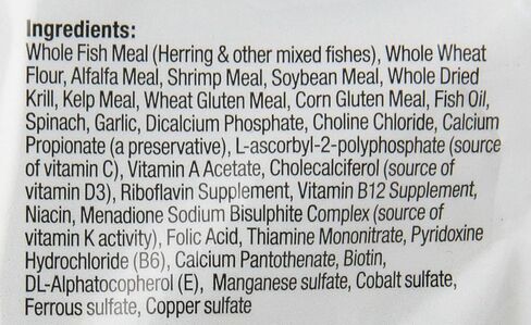 Aqueon Bottom Feeder Tablets 3 Ounces in Saudi Arabia