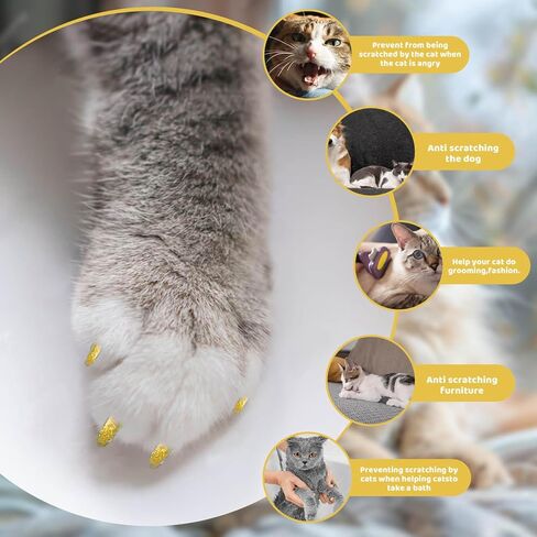 Cat Nail Caps with Glue - 20pcs Pet Kitten Cat Claw Caps Cat Claw Covers for Small Medium Large Cats - Crystal Gold M in Saudi Arabia