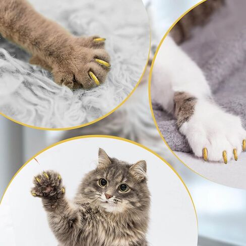 Cat Nail Caps with Glue - 20pcs Pet Kitten Cat Claw Caps Cat Claw Covers for Small Medium Large Cats - Crystal Gold M in Saudi Arabia