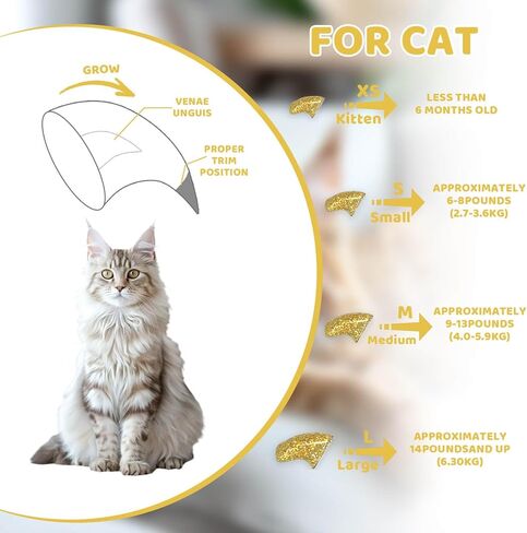 Cat Nail Caps with Glue - 20pcs Pet Kitten Cat Claw Caps Cat Claw Covers for Small Medium Large Cats - Crystal Gold M in Saudi Arabia