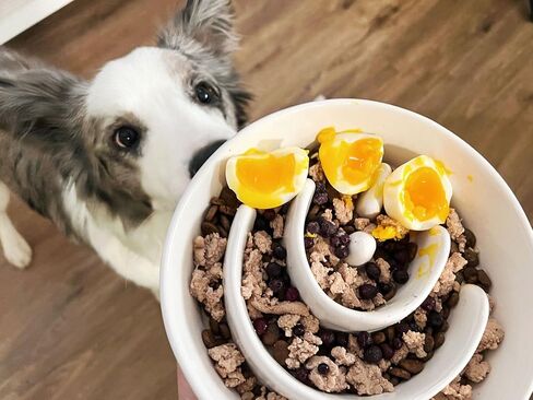 Dog Slow Feeder Bowl Ceramic, 1.5 Cups Puzzle Maze Food Bowl for Small Medium Large Breed, Puppy for Fast Eater to Slow Down Eating in Saudi Arabia