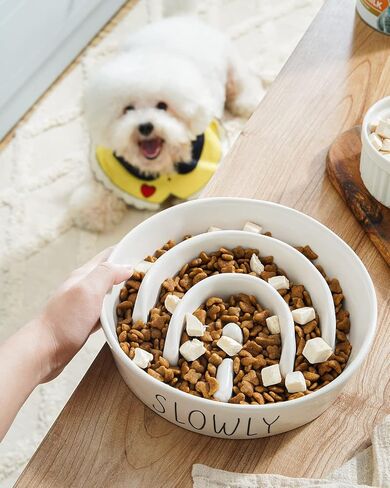 Dog Slow Feeder Bowl Ceramic, 1.5 Cups Puzzle Maze Food Bowl for Small Medium Large Breed, Puppy for Fast Eater to Slow Down Eating in Saudi Arabia
