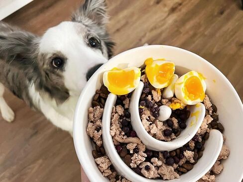 Dog Slow Feeder Bowl Ceramic, 1.5 Cups Puzzle Maze Food Bowl for Small Medium Large Breed, Puppy for Fast Eater to Slow Down Eating in Saudi Arabia