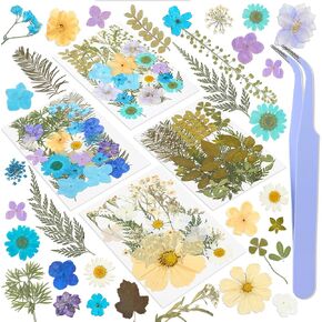100 PCS Dried Pressed Flowers for Resin Natural Fall Dried Flowers with Tweezer Real Dried Pressed Flowers for Christmas Crafts Scrapbooking DIY Art Jewelry Nail Making Candle Soap Decor