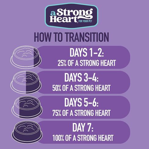 A Strong Heart Turkey Recipe Dog Food Cups, 3.5oz, Pack of 12 in Saudi Arabia