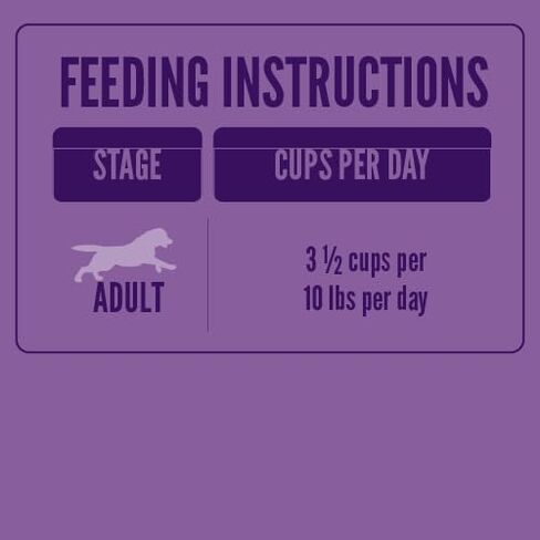 A Strong Heart Turkey Recipe Dog Food Cups, 3.5oz, Pack of 12 in Saudi Arabia