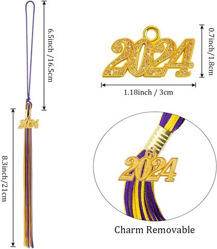2PCS 2024 Tassel, 2024 Graduation Tassel Charm, Graduation Cap Tassel for Graduation Cap 2024 Graduation Hat Decoration Tassel with The 2024 Year Gold Charm for Graduation Party Ceremonies Gold in Kuwait