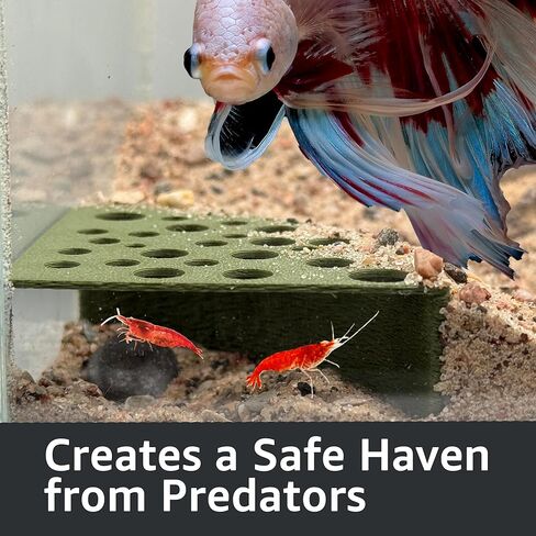 CTWPets Half Shrimp Breeding Protector | Shrimp Breeding Cave Aquarium Tunnel (Black, 2 Pack) in Kuwait