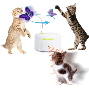 ALL FOR PAWS Interactives Cat Teaser Toy Catnip Toy Flutter Bug Cat Wand Toy Cat Fun Playing Toys Kitten Toys (Shiny Butterfly)