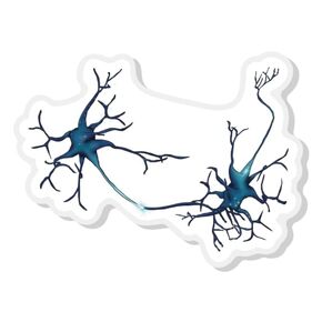 Neuron Lapel Pin, Synapse Between Neurons, Neurology, Neuroscience Gift, Anatomy Art
