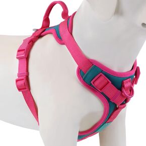 No Pull Dog Harness Adjustable Soft Padded Pet Vest with Control Handle Adorable Daily Harness for Dogs（Pink Peacock XS） in Saudi Arabia