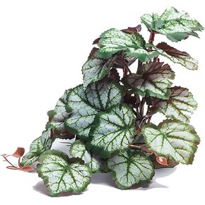 Woyrise Reptile Artificial Plants for Terrarium Decor, Amphibian Habitat Hideout Bearded Dragon Tank Decorations fit Crested Gecko Leopard Lizard Chameleon Ball Python Snake Frog - Saxifrage