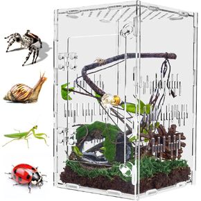 Acrylic Jumping Spider Enclosure, 10"*6"*6" Large Ventilated Reptile Terrarium with Front Opening Door for Tarantula, Insects, Frogs, Praying Mantis, Snails