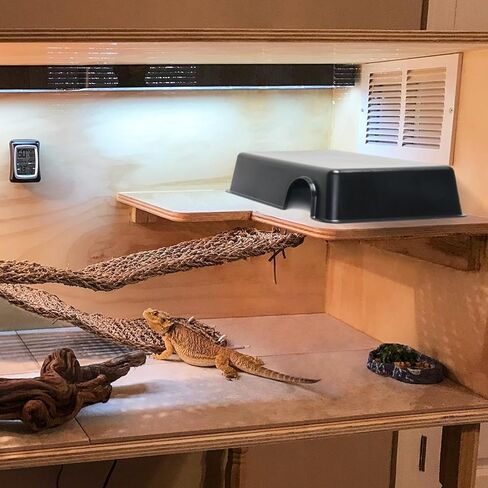 Reptile Hide Box - Provides Security and Safety for Geckos and Snakes, Easy to Clean, Large Size (9.7" x 6.8" x 2.5"). in Saudi Arabia
