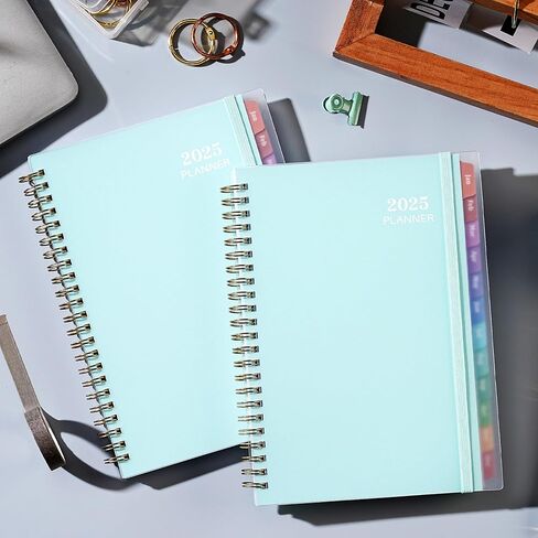 2025 Planner - 2025 Planner Daily Weekly Monthly, Jan 2025 to Dec 2025, 6.4'' x 8.5'', Calendar 2025 Planner with Transparent PP Cover, Green Ink Pages, Colorful Monthly Tabs, Back Pocket in Kuwait