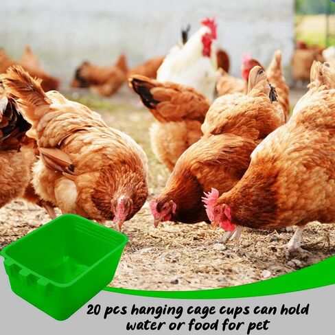20 Pcs Chicken Coop Feeder Water Cup,16 oz Cage Cups Chicken Feeder Waterer, Cage Cups Birds Hanging Feeders, Chicken Feeder Water Bowl for Parakeet Poultry Pigeon Bunny Wire Cage (Red) in Saudi Arabia