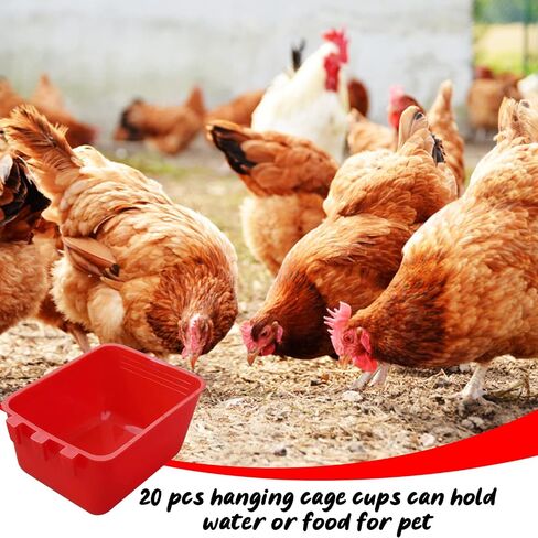 20 Pcs Chicken Coop Feeder Water Cup,16 oz Cage Cups Chicken Feeder Waterer, Cage Cups Birds Hanging Feeders, Chicken Feeder Water Bowl for Parakeet Poultry Pigeon Bunny Wire Cage (Red) in Saudi Arabia